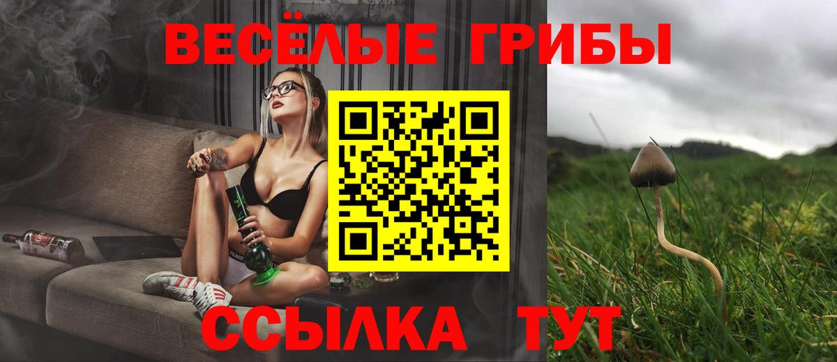 Туапсе  Псилоцибиновые грибы GOLDEN TEACHER  Вход с VPN 