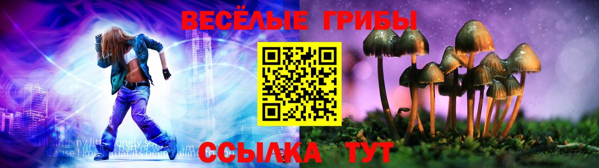 Галлюциногенные грибы прущие грибы Туапсе